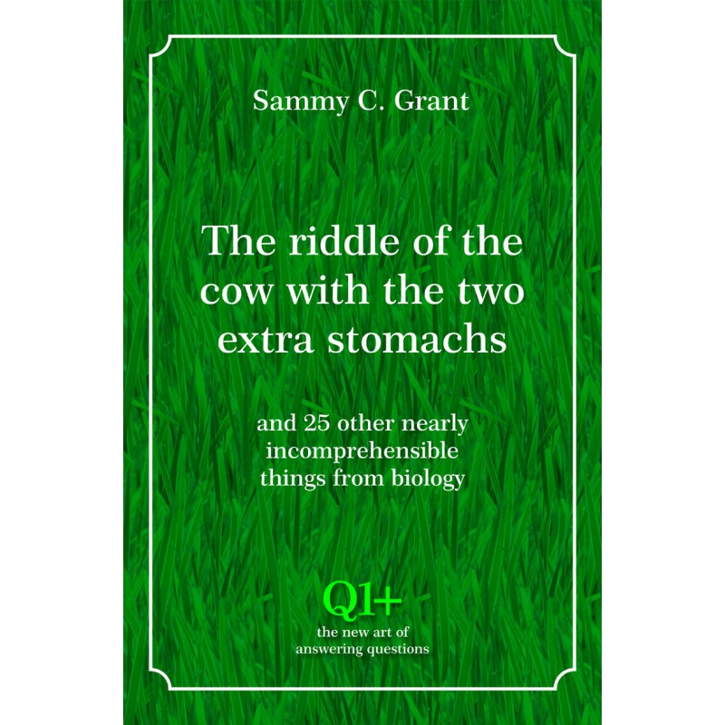 The riddle of the cow with the two extra stomachs